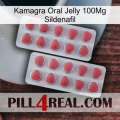 Kamagra Oral Jelly 100Mg Sildenafil 19